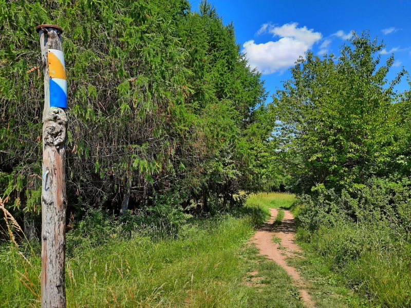 Na kalwaryjskiej ścieżce z Rymanowa-Zdroju do Rymanowa, fot. Agnieszka Cygan