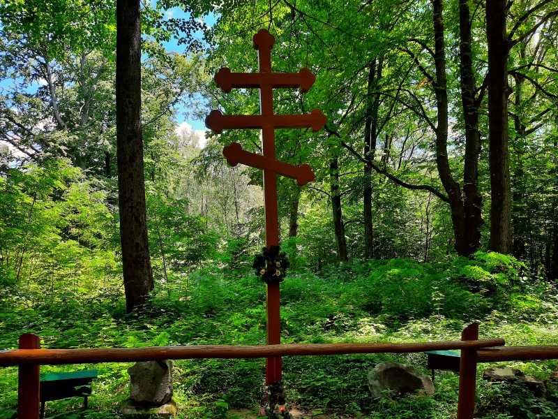 Cmentarz w Wołtuszowej, fot. Agnieszka Cygan
