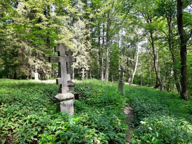 Cmentarz w Świerzowej Ruskiej, fot. Agnieszka Cygan