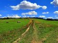 W drodze na Tokarnię, fot. Agnieszka Cygan