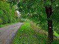 Żółty szlak z Wisłoka Wielkiego pod Tokarnię, fot. Agnieszka Cygan