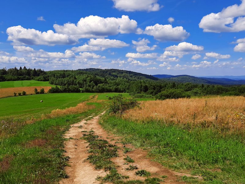 Panorama spod Tokarni, fot. Agnieszka Cygan