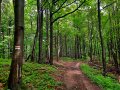 Na grzbiecie Bukowicy, w drodze na Skibce, fot. Agnieszka Cygan