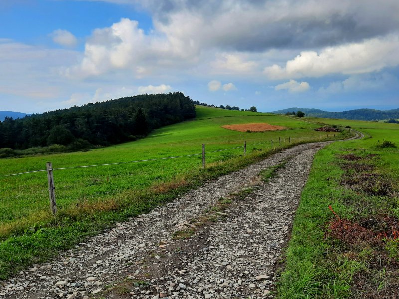 Zejście z pasma Bukowicy do Puław Górnych, fot. Agnieszka Cygan