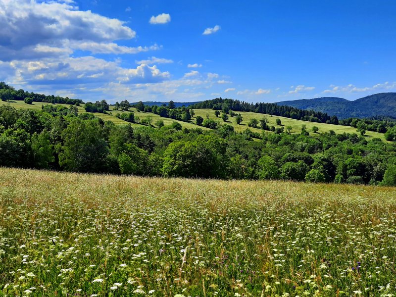 Widok z czerwonego szlaku na odcinku Wołtuszowa – Wisłoczek, fot. Agnieszka Cygan