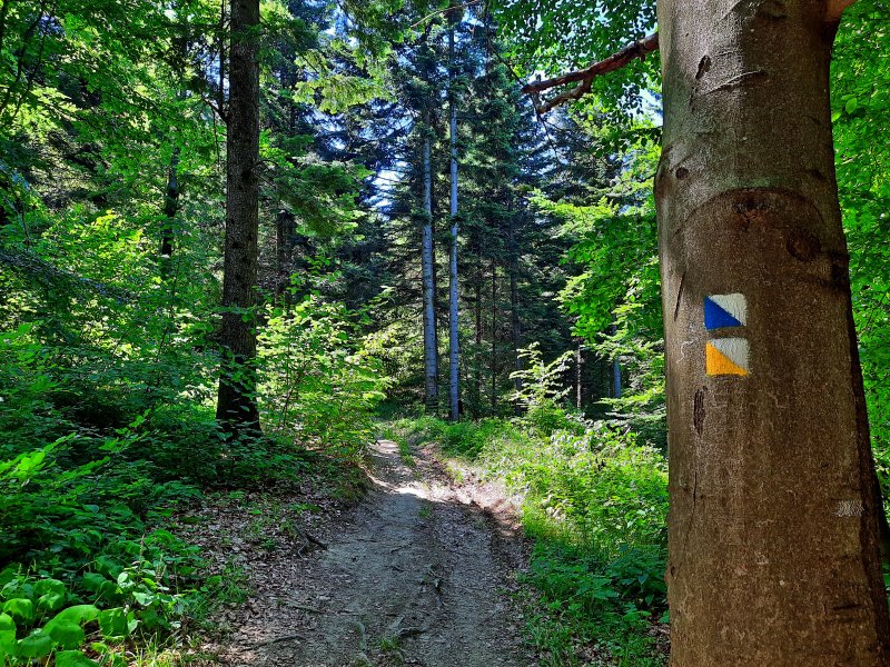 Na ścieżce „Do Cudownej Wody” z Rymanowa-Zdroju do Klimkówki, fot. Agnieszka Cygan