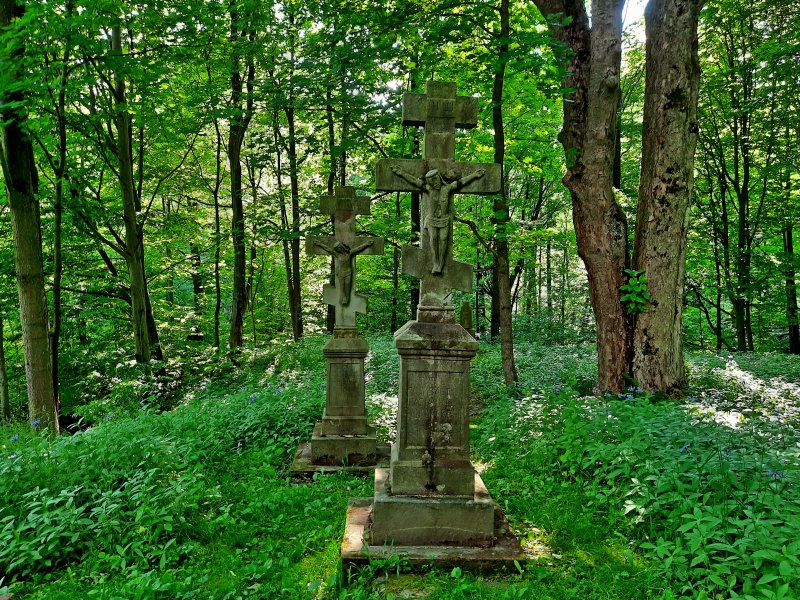Cmentarz w nieistniejącej wsi Żydowskie, fot. Agnieszka Cygan
