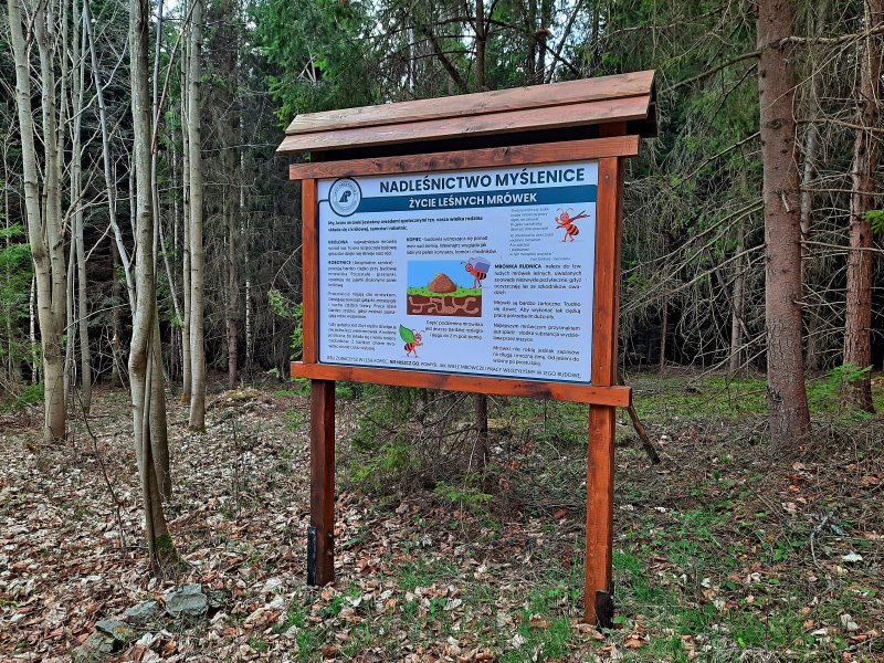 Ścieżka edukacyjna „Tokarnia – Groń”, fot. Agnieszka Cygan