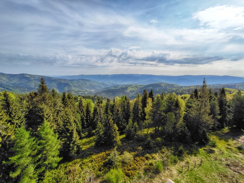 Widok z wieży na Eliaszówce, fot. IT Piwniczna-Zdrój