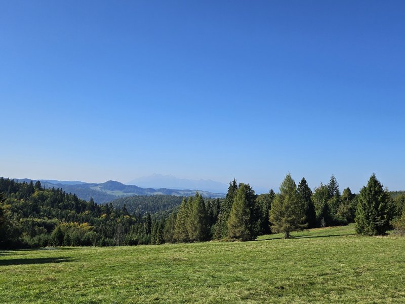 Punkt widokowy na Tatry na Przełęczy Gromadzkiej, fot. IT Piwniczna-Zdrój