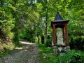 Czarny szlak z Tokarni w kierunku Urbaniej Góry, fot. Agnieszka Cygan