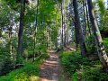 W drodze na górę Borowinową, fot. Agnieszka Cygan