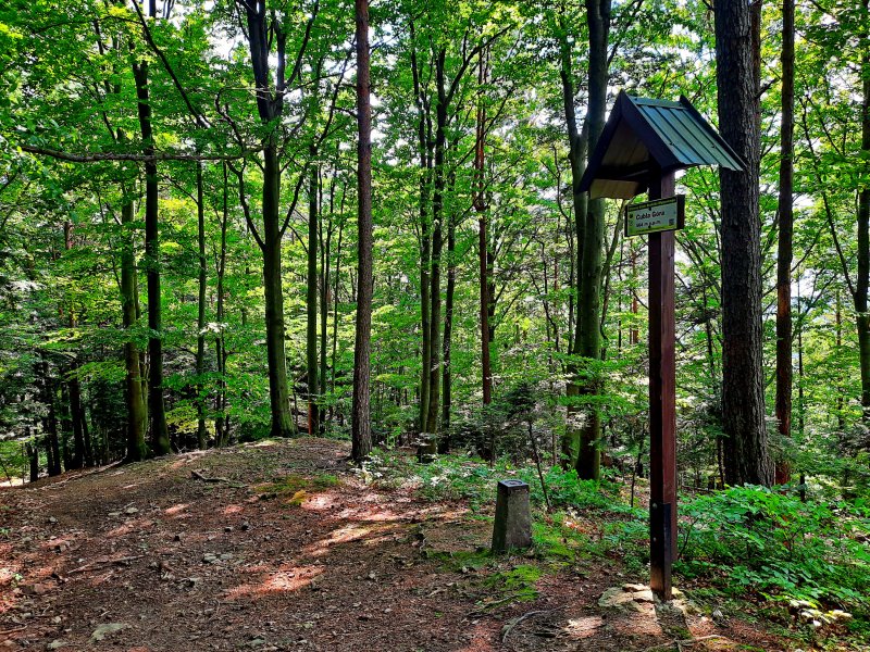 Na Cublej Górze, fot. Agnieszka Cygan