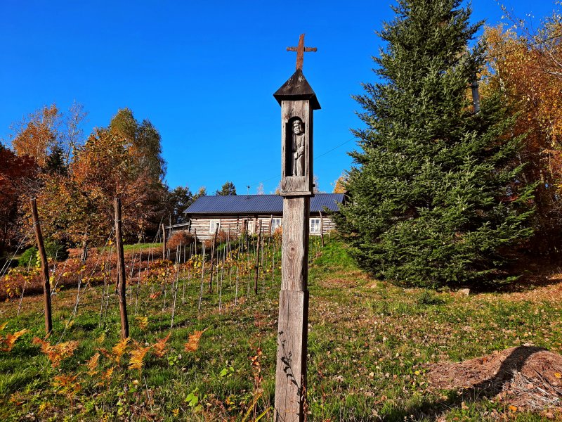 Krzyż przydrożny na zielonym szlaku w Olszowej, fot. Agnieszka Cygan