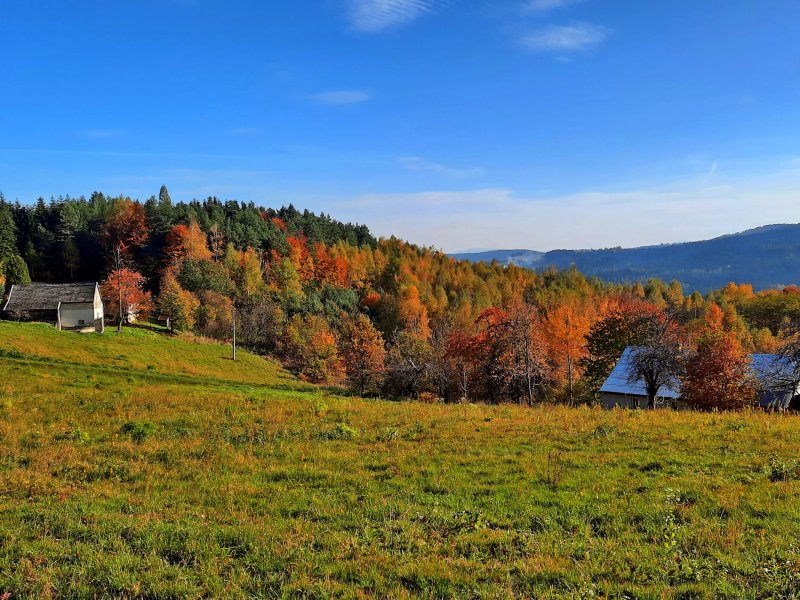Panorama z punktu widokowego w Olszowej, fot. Agnieszka Cygan