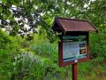 Żeremie bobrowe – przystanek 7. ścieżki „Obóz powstańczy”, fot. Agnieszka Cygan