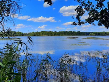Stawy pieszowolskie na ścieżce „Perehod”, fot. Agnieszka Cygan