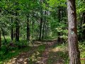 Ścieżka przyrodnicza „Perehod”, fot. Agnieszka Cygan