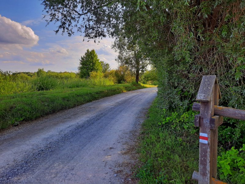 Czerwony szlak w Zastawiu, fot. Agnieszka Cygan