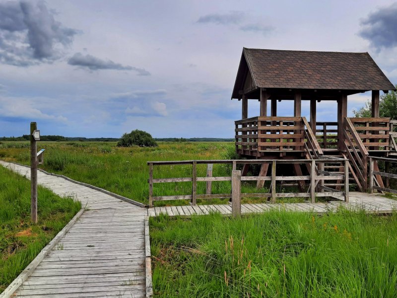 Platforma widokowa i kładka na ścieżce „Czahary”, fot. Agnieszka Cygan