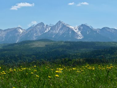 Widok z Przełęczy nad Łapszanką na Tatry Bielskie, fot. Dariusz Tryba