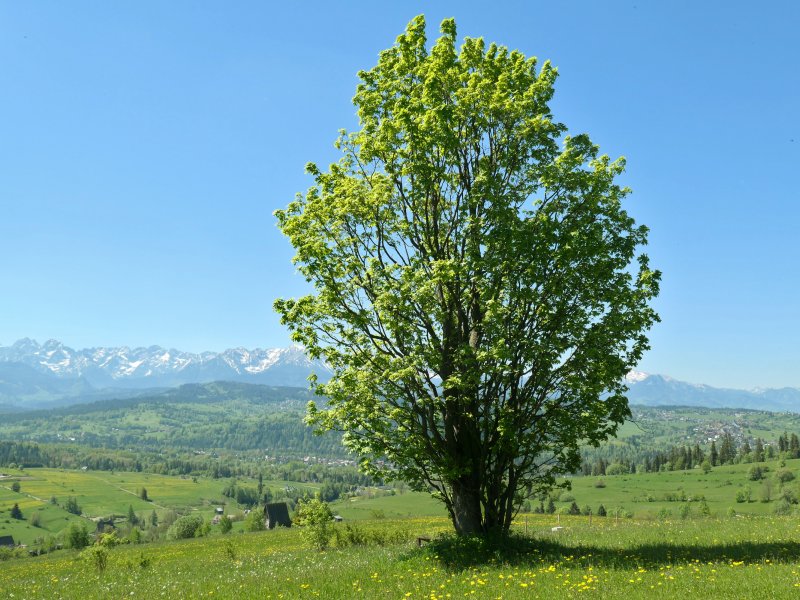 Sarnowska Grapa, poniżej zabudowania Rzepisk, fot. Dariusz Tryba