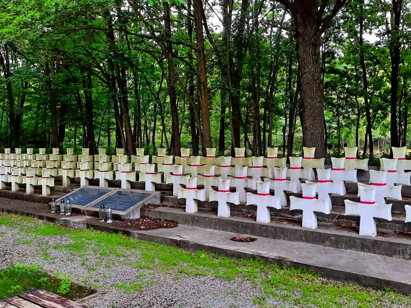Symboliczne kwatery żołnierskie upamiętniające poległych w bitwie pod Wytycznem, fot. Agnieszka Cygan
