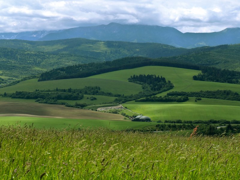 Widok z okolic Borovej na Skoruszyńskie Wierchy i Tatry Zachodnie, fot. Dariusz Tryba