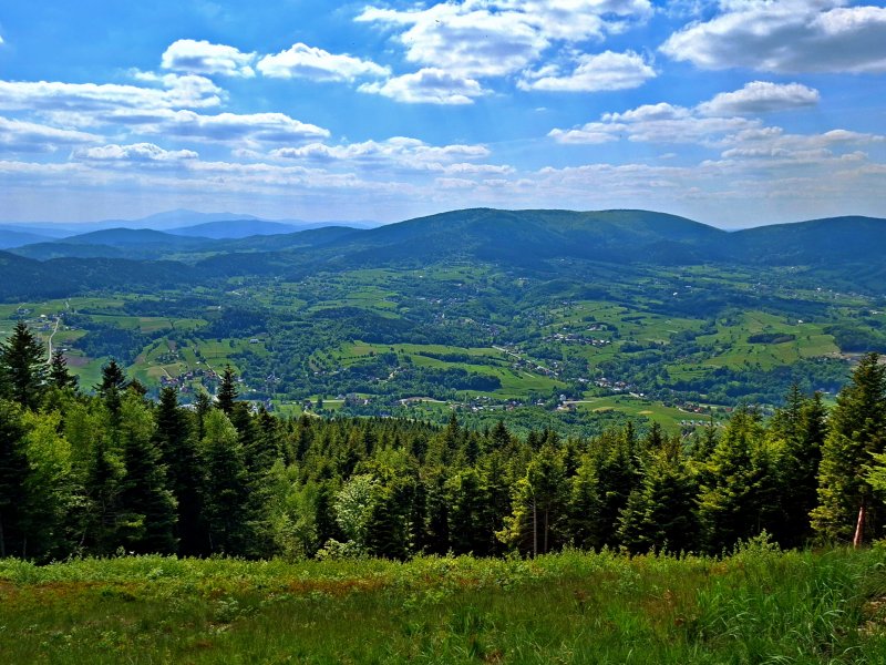 Panorama z polany pod szczytem Cietnia, fot. Agnieszka Cygan