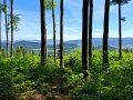 Ograniczona panorama ze szczytu Kostrzy, fot. Agnieszka Cygan