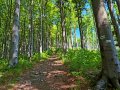 Zielony szlak na Kostrzę, fot. Agnieszka Cygan