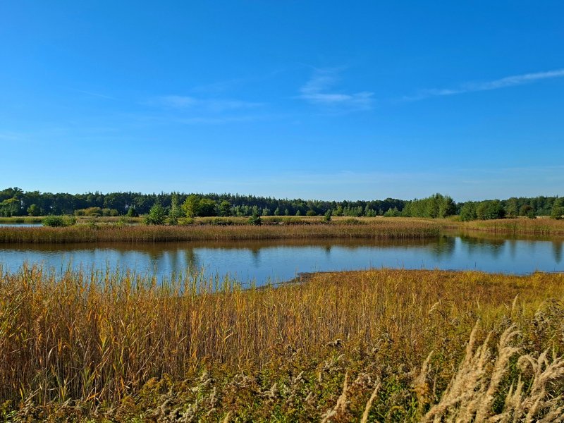 Stawy Cyranowskie, fot. Agnieszka Cygan