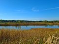 Stawy Cyranowskie, fot. Agnieszka Cygan