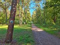 Ścieżka „Cyraneczka”, fot. Agnieszka Cygan